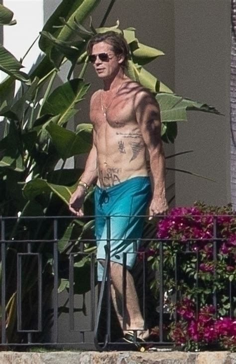 brad pitt naked|Shirtless Brad Pitt sunbathes with topless Ines de Ramon in。